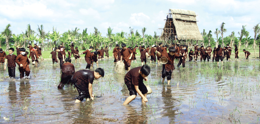 Du lịch Long An &quot;hồi sinh&quot; sau đại dịch - Ảnh 3.