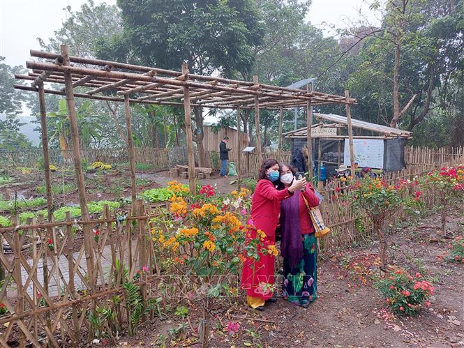 Hà Nội nghiên cứu phát triển bãi giữa, bãi bồi ven sông Hồng thành công viên văn hóa du lịch - Ảnh 1.