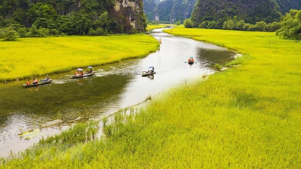 Báo quốc tế: Việt Nam đang là điểm đến du lịch đầy thu hút - Ảnh 3.