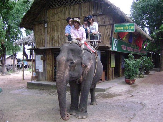 Đắk Lắk hướng đến &quot;Du lịch thân thiện với voi&quot; - Ảnh 1.