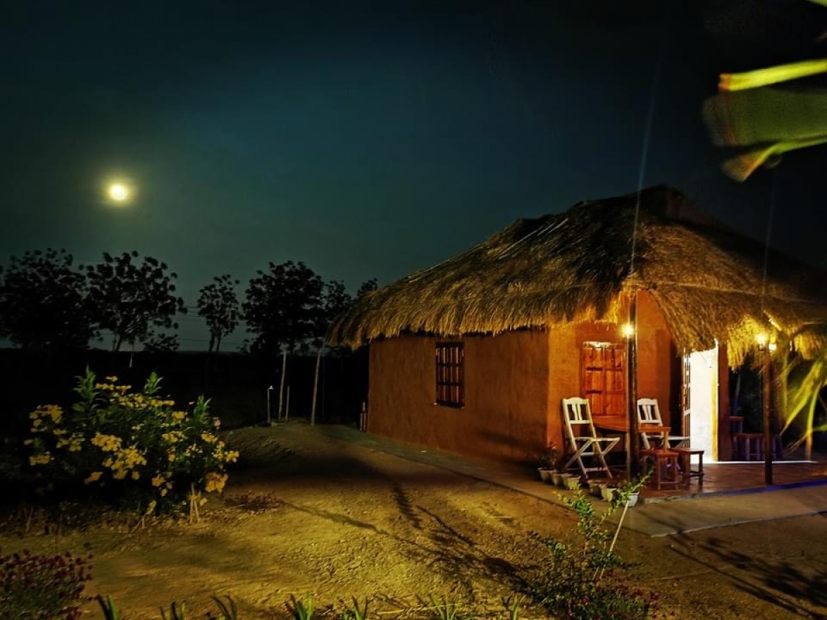 Người Chăm Ninh Thuận phát triển du lịch cộng đồng gắn với quảng bá văn hóa dân tộc - Ảnh 3. Người Chăm Ninh Thuận phát triển du lịch cộng đồng gắn với quảng bá văn hóa dân tộc - Ảnh 3.