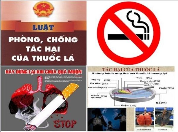 Phát động Cuộc thi viết tiểu phẩm tuyên truyền về tác hại của việc sử dụng thuốc lá, các quy định của Luật Phòng, chống tác hại thuốc lá - Ảnh 2.