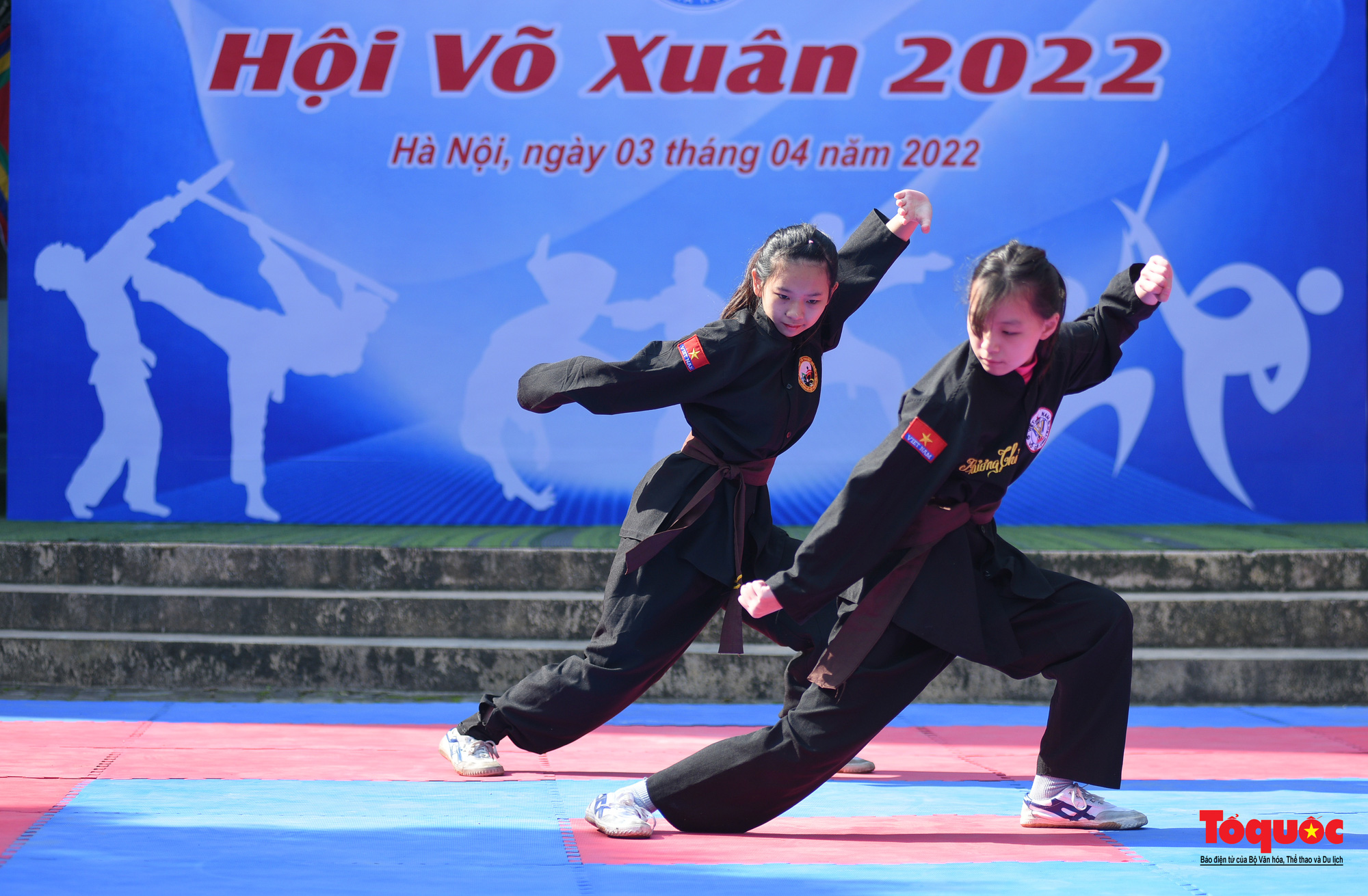 Tinh hoa võ cổ truyền Việt Nam quy tụ tại &quot; Hội võ xuân 2022&quot; - Ảnh 3.
