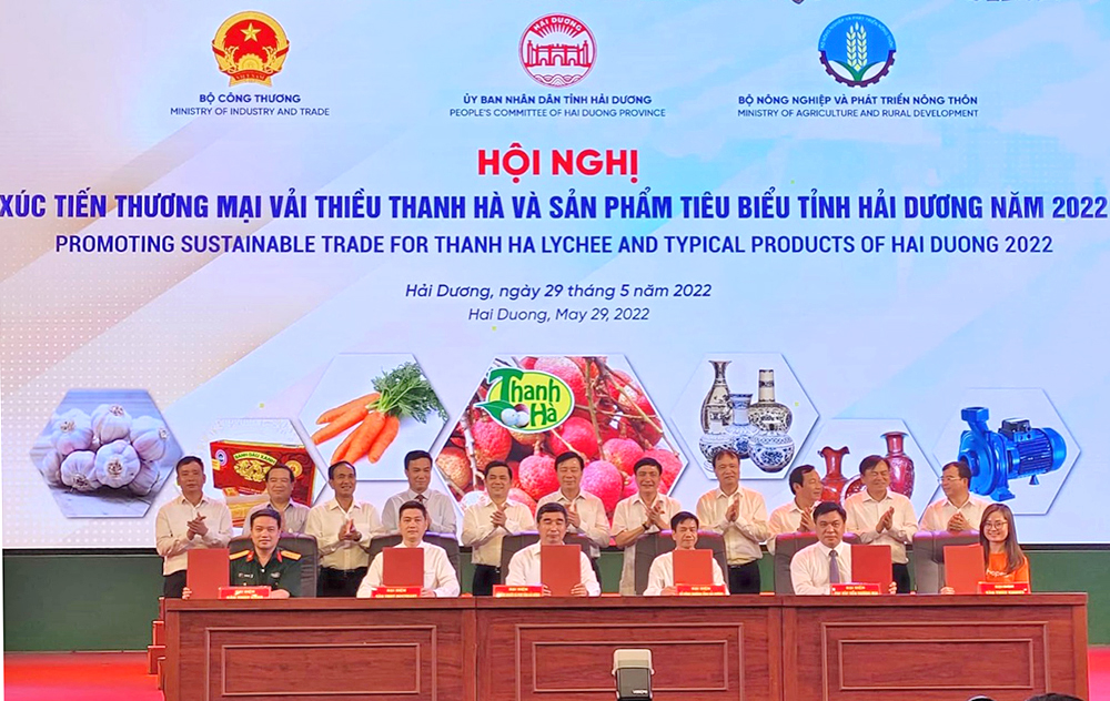 Hải Dương xúc tiến thương mại vải thiều Thanh Hà gắn với phát triển du lịch nông nghiệp, nông thôn  - Ảnh 1.