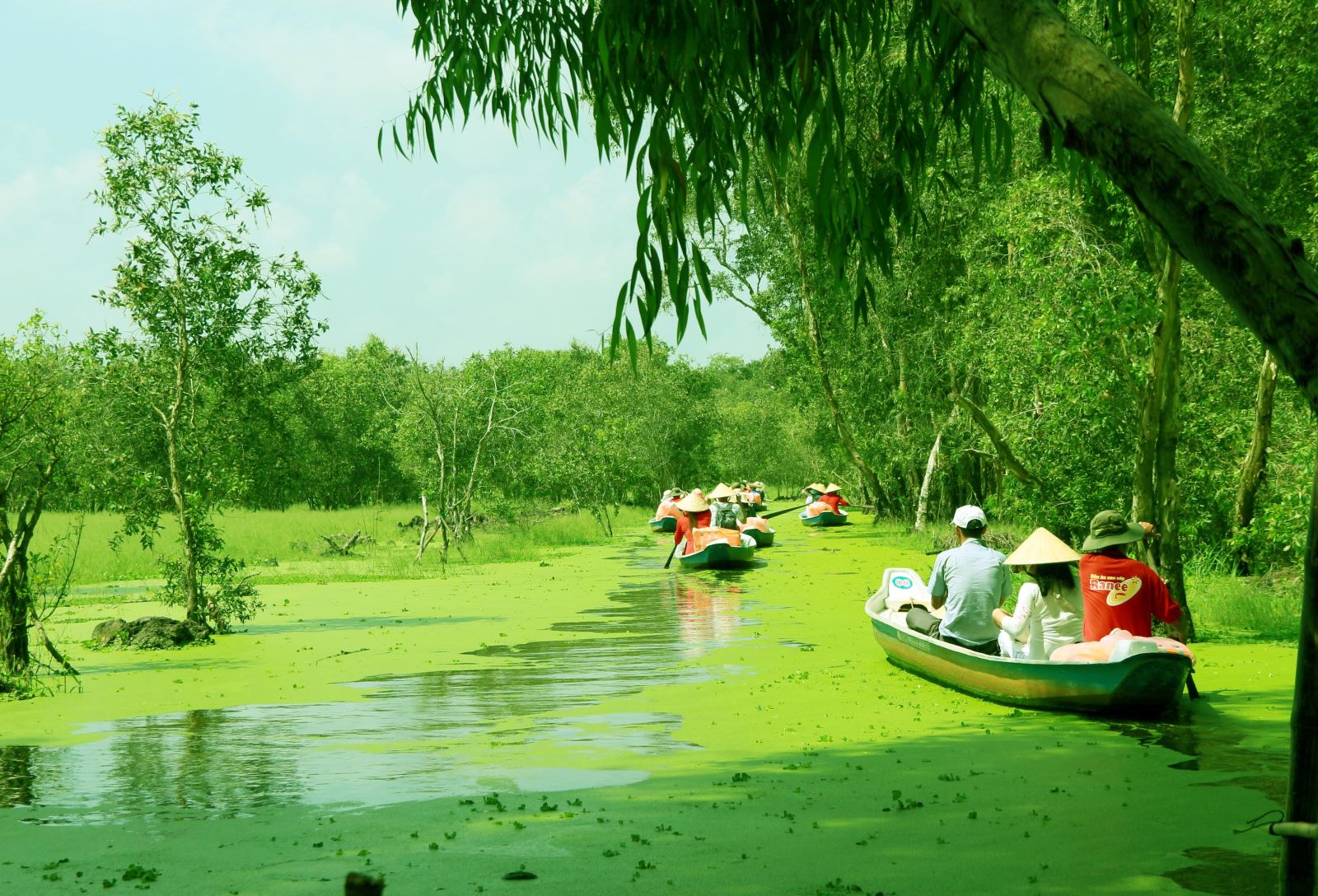 Kích cầu du lịch vùng Đồng bằng sông Cửu Long - Ảnh 2.