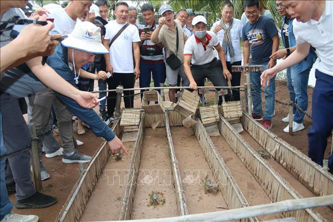 Trà Vinh: Chính sách khuyến khích tổ chức, hộ gia đình làm du lịch - Ảnh 1.