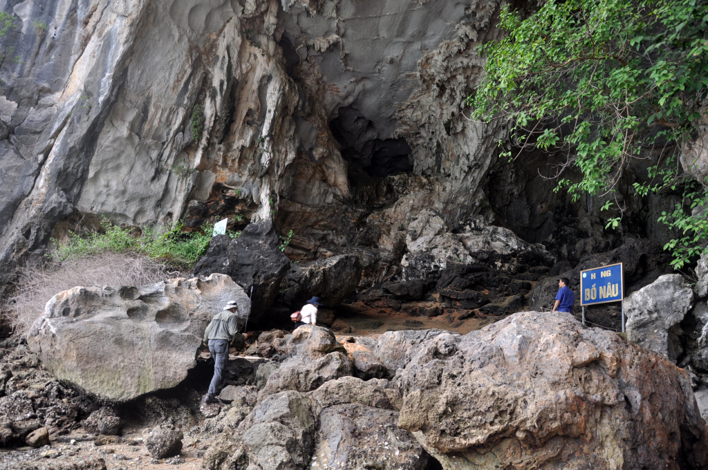 Quảng Ninh: Bảo tồn Di sản thiên nhiên thế giới Vịnh Hạ Long - Ảnh 8.