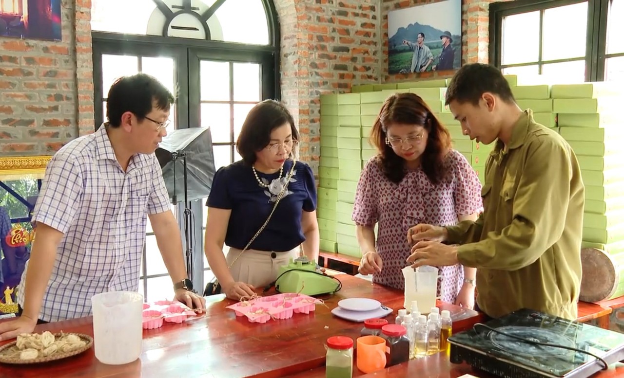 Ninh Bình: Hỗ trợ các hợp tác xã tham gia phát triển du lịch - Ảnh 2.