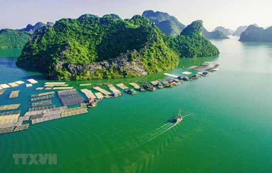Phát triển du lịch biển, đảo Việt Nam hài hòa và bền vững - Ảnh 2.