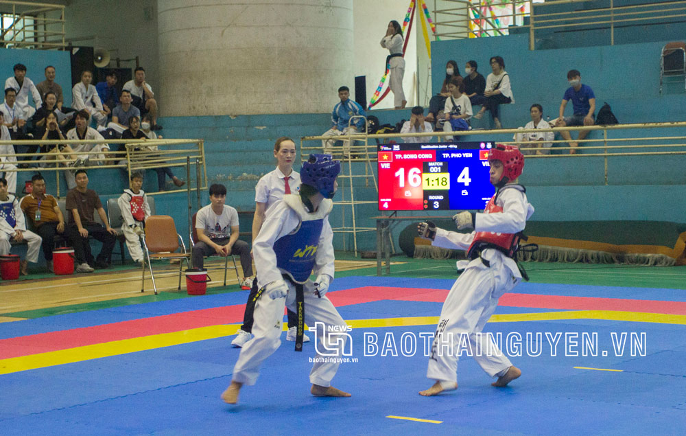 Thái Nguyên: Trao 37 bộ huy chương cho vận động viên Taekwondo, Võ cổ truyền - Ảnh 2.