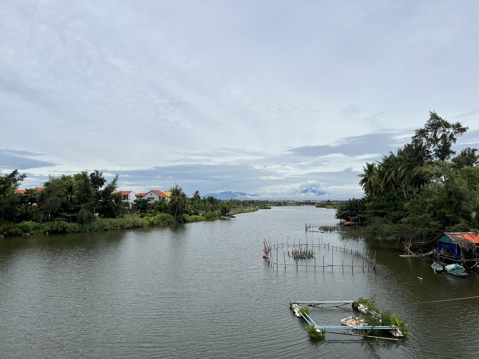 Du lịch, hàng không Việt Nam tăng trưởng vượt dự báo - Ảnh 4.