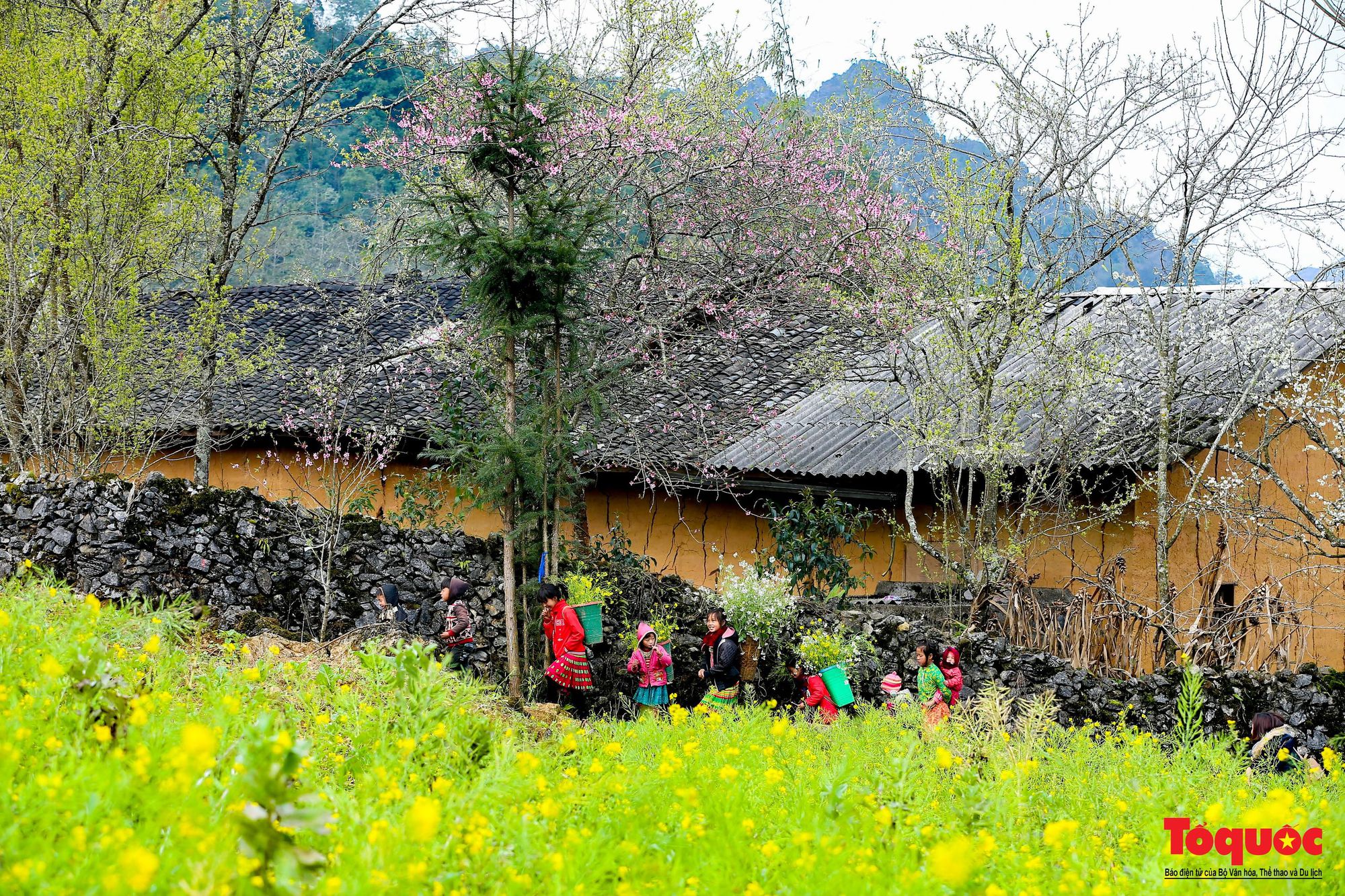Bảo tồn, phát huy văn hóa truyền thống dân tộc Mông và Hà Nhì gắn với phát triển du lịch - Ảnh 1.