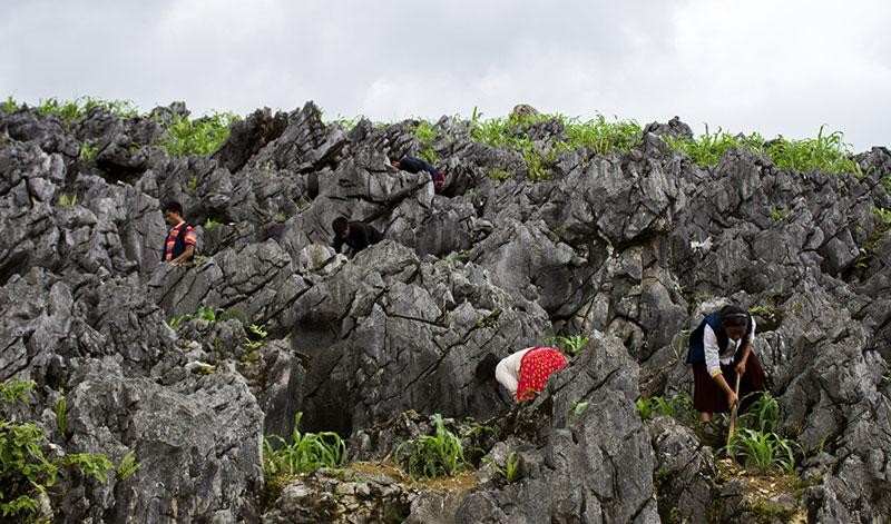 Nâng cao trách nhiệm cộng đồng trong bảo tồn di sản trên Cao nguyên đá Đồng Văn - Ảnh 2.
