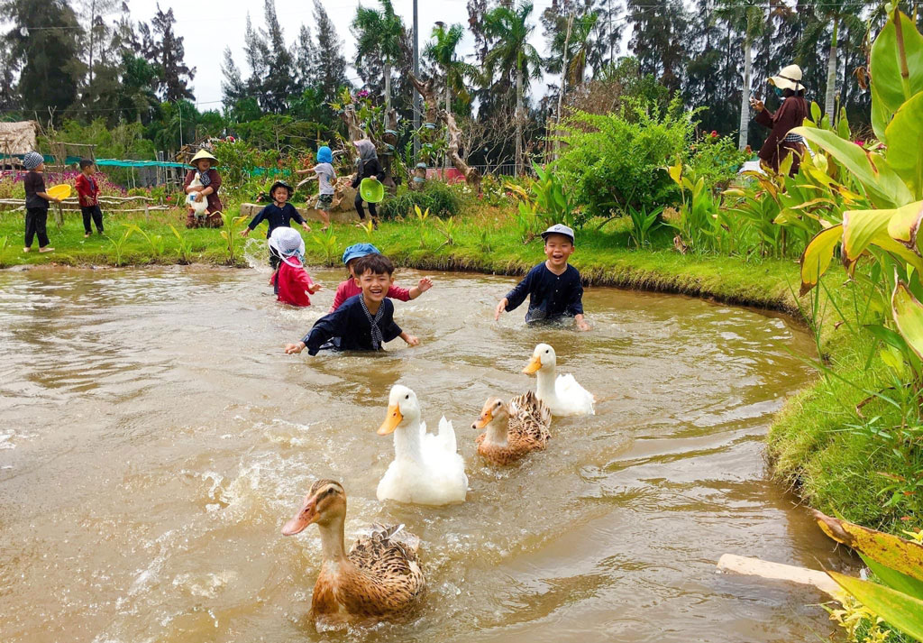 Long An: Sẵn sàng cho Tuần Văn hóa - Du lịch - Ảnh 2.