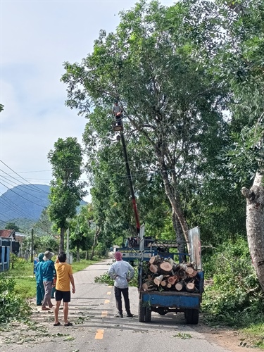 Phương án ứng phó thiên tai, bảo vệ di tích Mỹ Sơn trước mùa mưa bão - Ảnh 1.