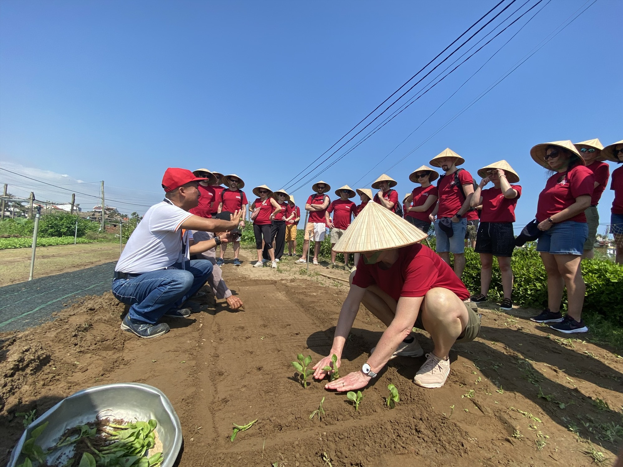 Quảng Nam: Lan tỏa du lịch xanh - Ảnh 3.