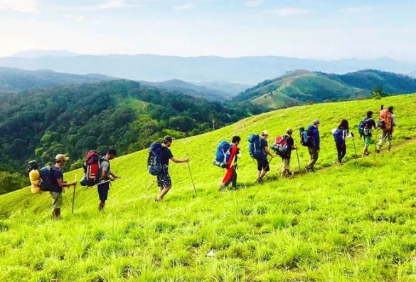 Liên kết phát triển du lịch “biển và hoa” kết nối Lâm Đồng-Bình Thuận - Ảnh 2.