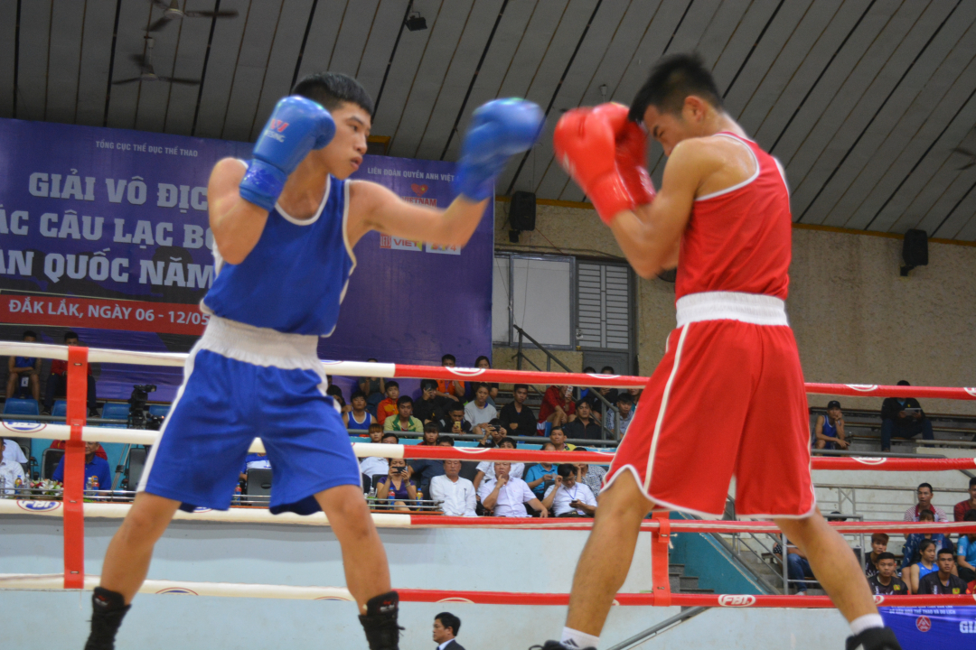 Đắk Lắk sẵn sàng cho Giải vô địch boxing toàn quốc 2023 - Ảnh 1.
