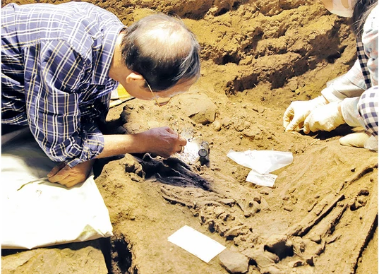 Những phát hiện mới về khảo cổ học ở Hà Nam - Ảnh 1.