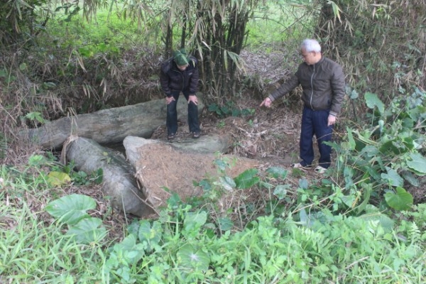 Cấp phép khai quật khảo cổ tại một số địa điểm thuộc tỉnh Cao Bằng - Ảnh 1.