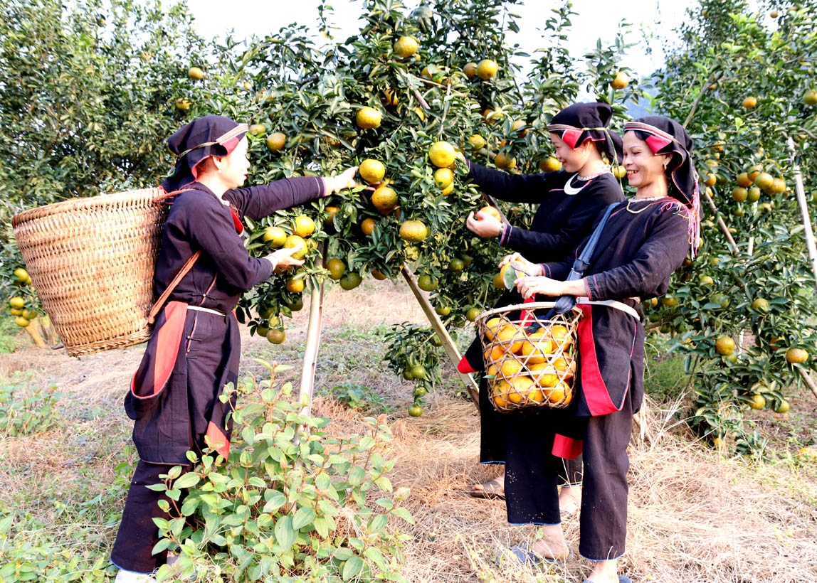 Hà Giang: Văn hóa trong dòng chảy phát triển của tỉnh - Ảnh 6.