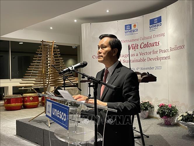Sắc màu văn hóa Việt tỏa sáng tại trụ sở UNESCO - Ảnh 3.