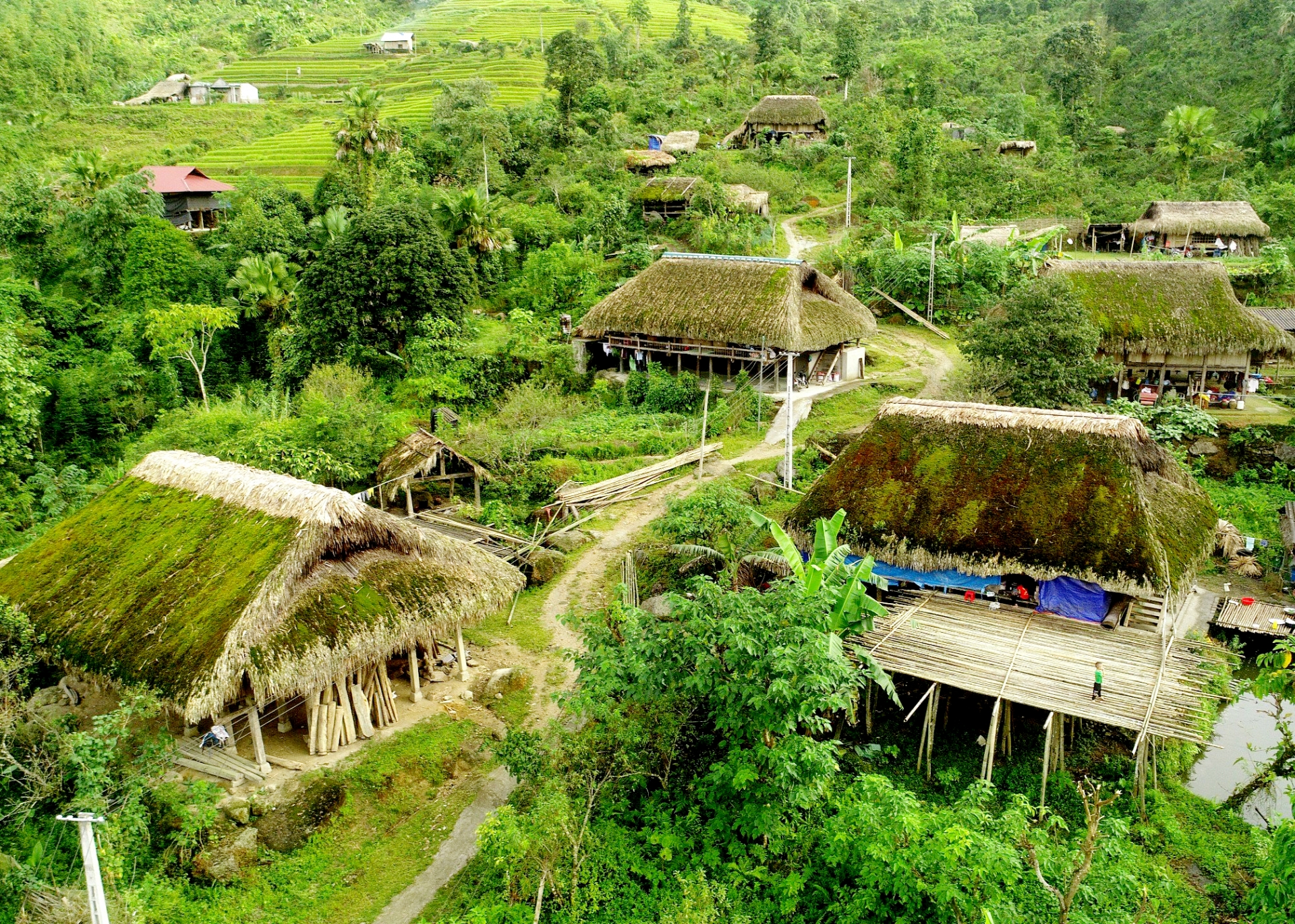 Xây dựng văn hóa, con người Hà Giang hài hòa, bản sắc - Ảnh 1.