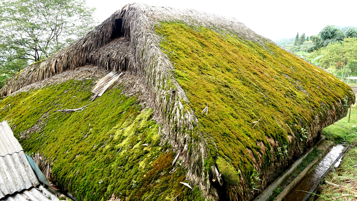 Xây dựng văn hóa, con người Hà Giang hài hòa, bản sắc - Ảnh 2.