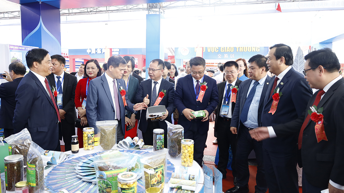 Cục trưởng Nguyễn Trùng Khánh dự khai mạc Hội chợ Thương mại - Du lịch quốc tế Việt - Trung - Ảnh 5.