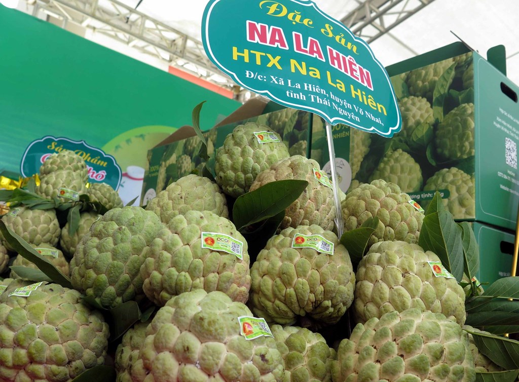 Thái Nguyên: Xúc tiến sắc màu nông sản thời kỳ 4.0 - Ảnh 2. Thái Nguyên: Xúc tiến sắc màu nông sản thời kỳ 4.0 - Ảnh 2.