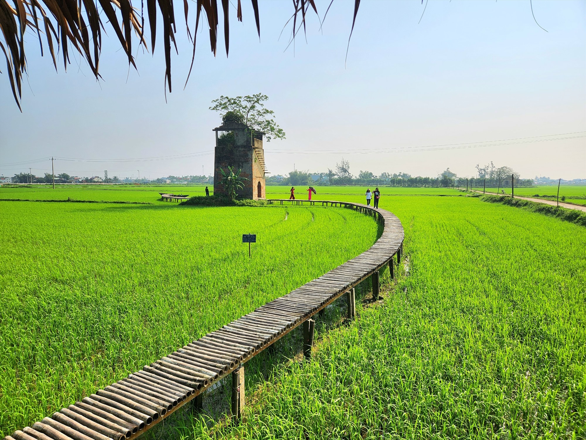 Quảng Nam kết nối các điểm du lịch nông thôn tạo sản phẩm du lịch mới - Ảnh 3.