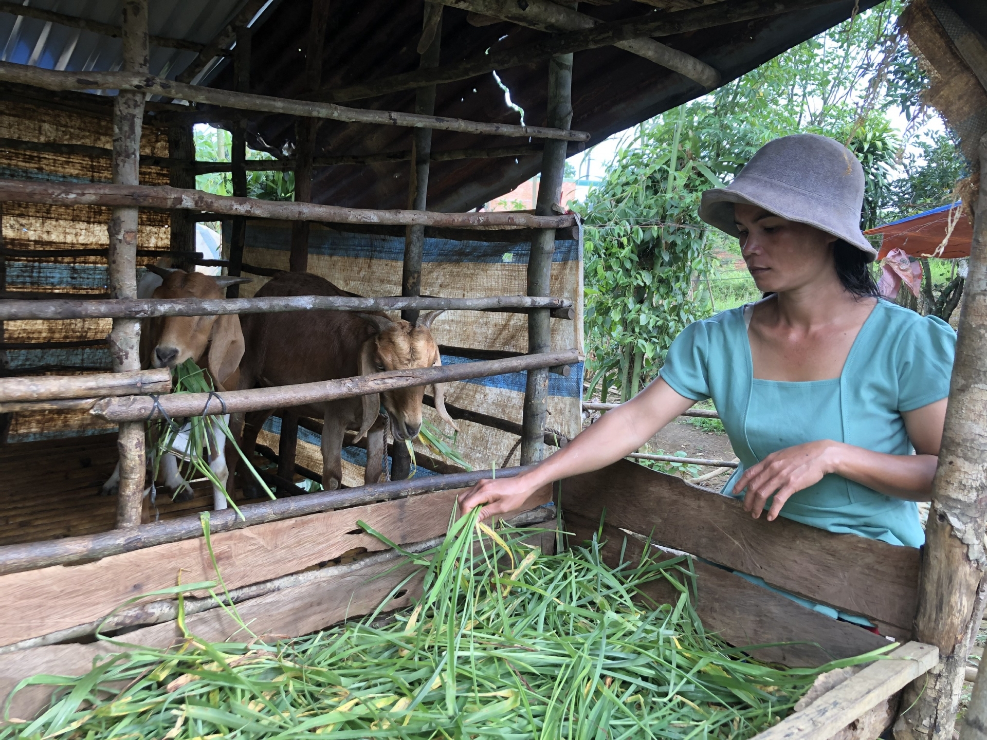 Lâm Đồng: Phấn đấu tỉ lệ nghèo thấp hơn mức chung cả nước - Ảnh 2. Lâm Đồng: Phấn đấu tỉ lệ nghèo thấp hơn mức chung cả nước - Ảnh 2.