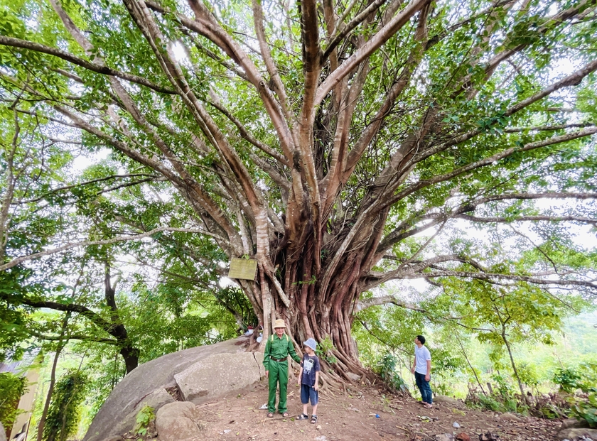 Gia Lai mở “cánh cửa” du lịch di tích lịch sử - Ảnh 3.