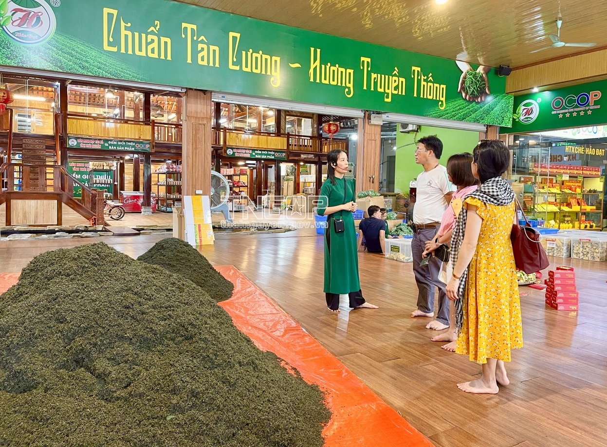 Thái Nguyên đón gần 2,5 triệu lượt khách du lịch trong năm 2023  - Ảnh 3.