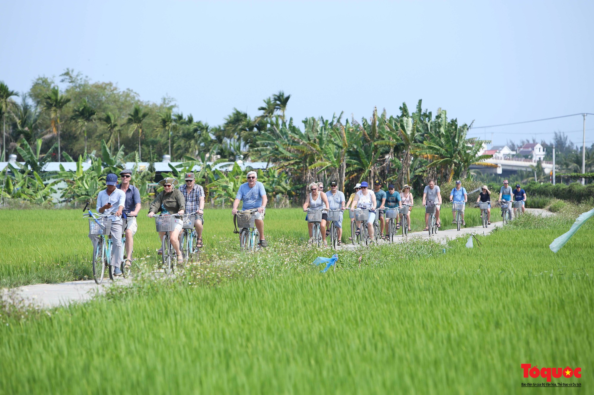 Đa dạng sinh kế, phát triển mô hình giảm nghèo cho người dân Quảng Nam - Ảnh 1. Đa dạng sinh kế, phát triển mô hình giảm nghèo cho người dân Quảng Nam - Ảnh 1.