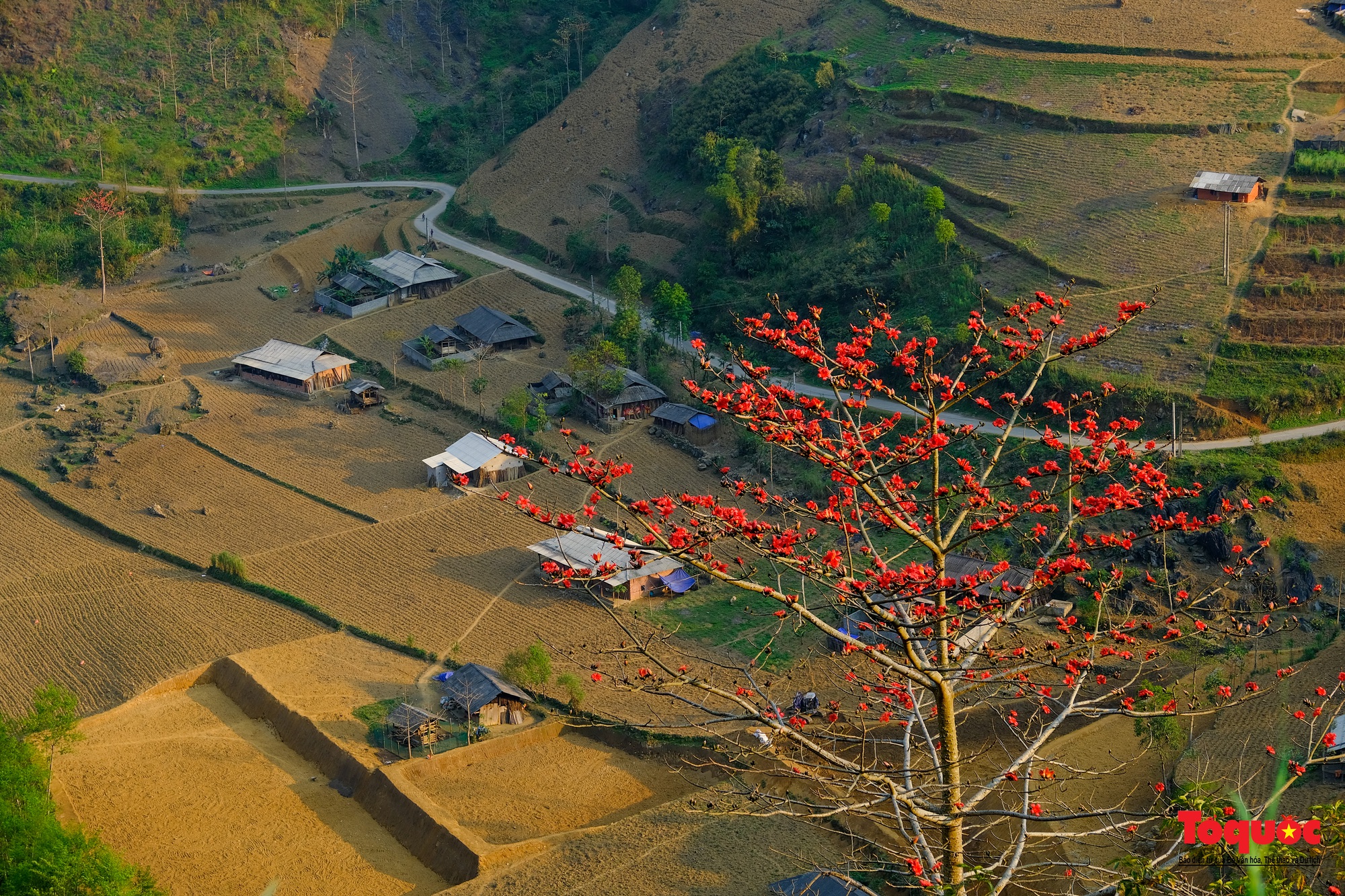 Mùa mộc miên &quot;thắp lửa&quot; trên cao nguyên đá Hà Giang - Ảnh 7.