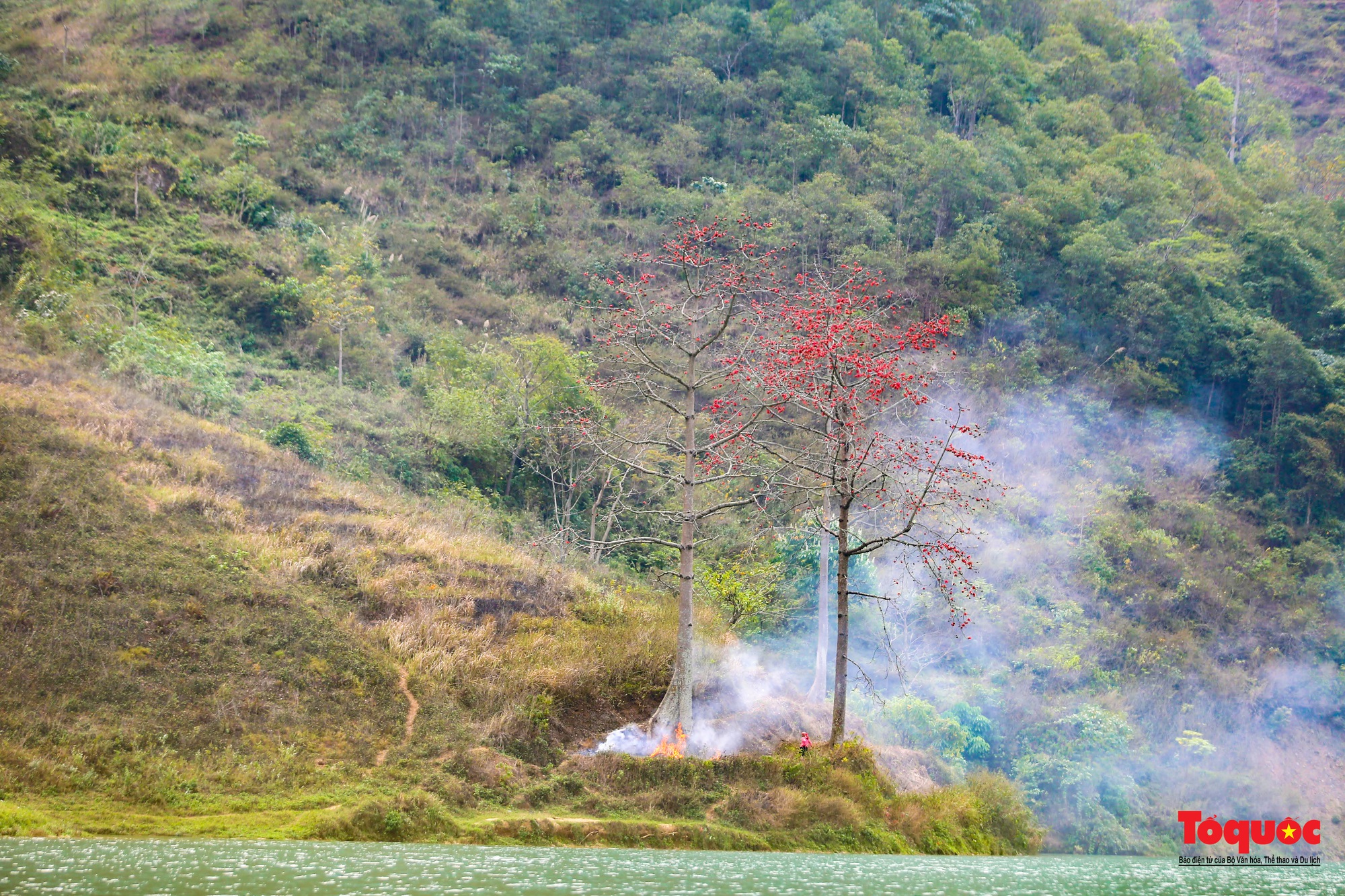 Mùa mộc miên &quot;thắp lửa&quot; trên cao nguyên đá Hà Giang - Ảnh 15.