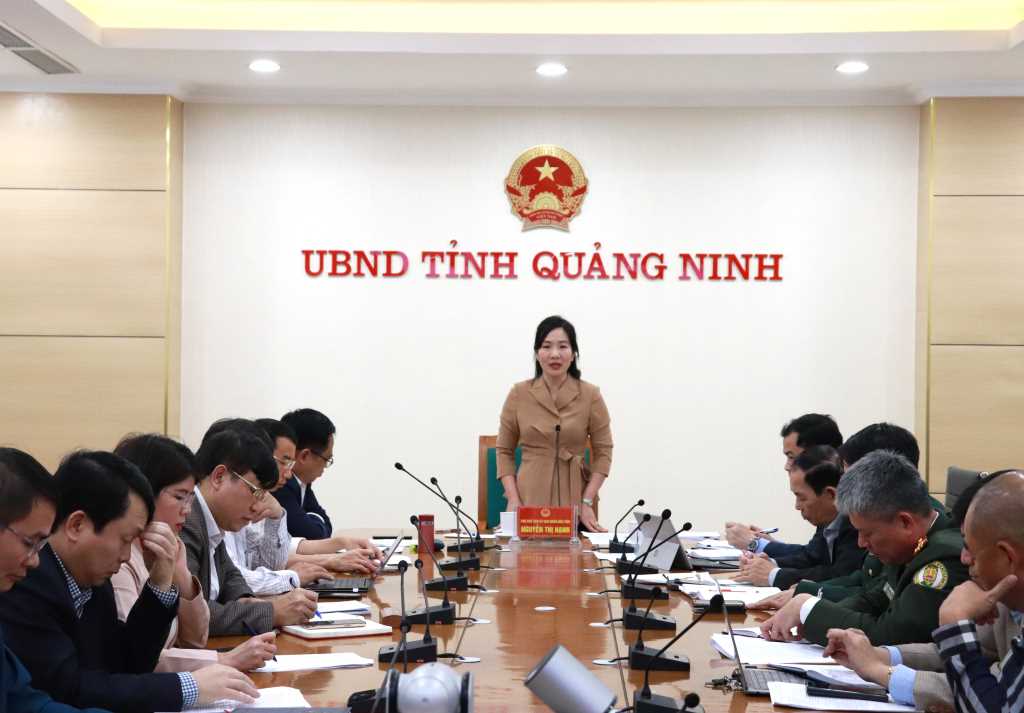 Quảng Ninh: Họp bàn phương án đón khách quốc tế và đề xuất một số sản phẩm du lịch mới - Ảnh 1.