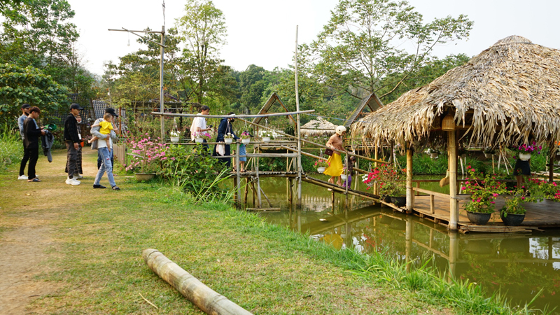 Để du lịch cộng đồng trên địa bàn tỉnh Quảng Trị phát triển bền vững - Ảnh 1.