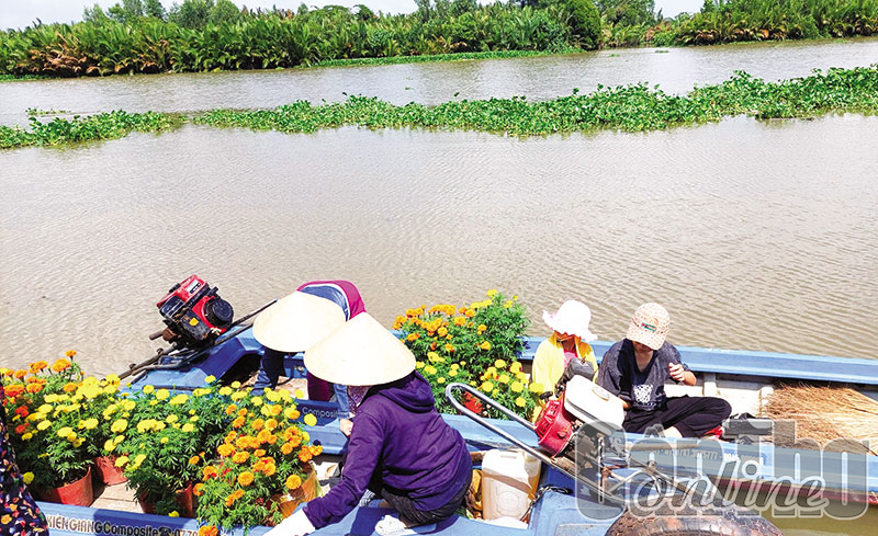 Nhận diện, bảo tồn bản sắc văn hóa sông nước ÐBSCL - Ảnh 2.