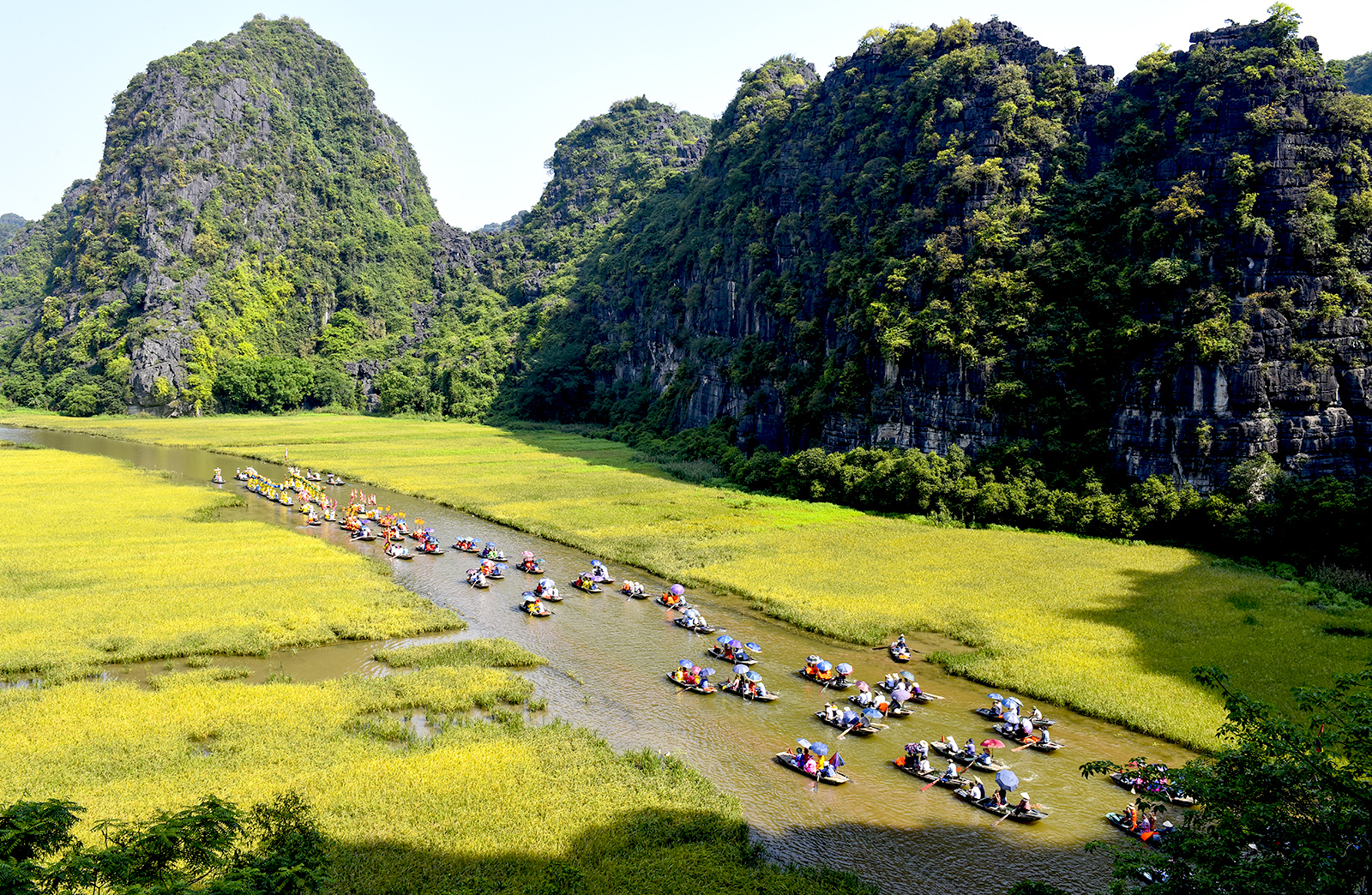 Tuần Du lịch Ninh Bình 2023 - &quot;Sắc vàng Tam Cốc - Tràng An&quot; sẽ diễn ra từ ngày 27/5 đến 4/6 - Ảnh 1.