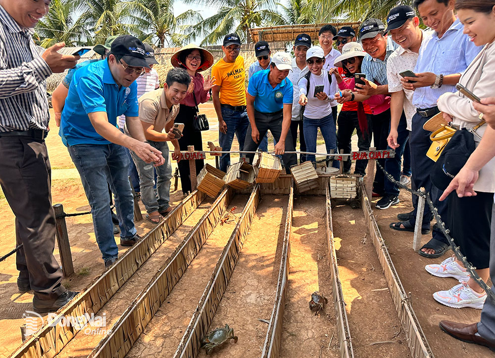 Đồng Nai: Tăng chất lượng nguồn nhân lực cho ngành du lịch - Ảnh 1.