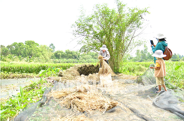 Kiên Giang tìm hướng đi cho du lịch nông thôn - Ảnh 2.