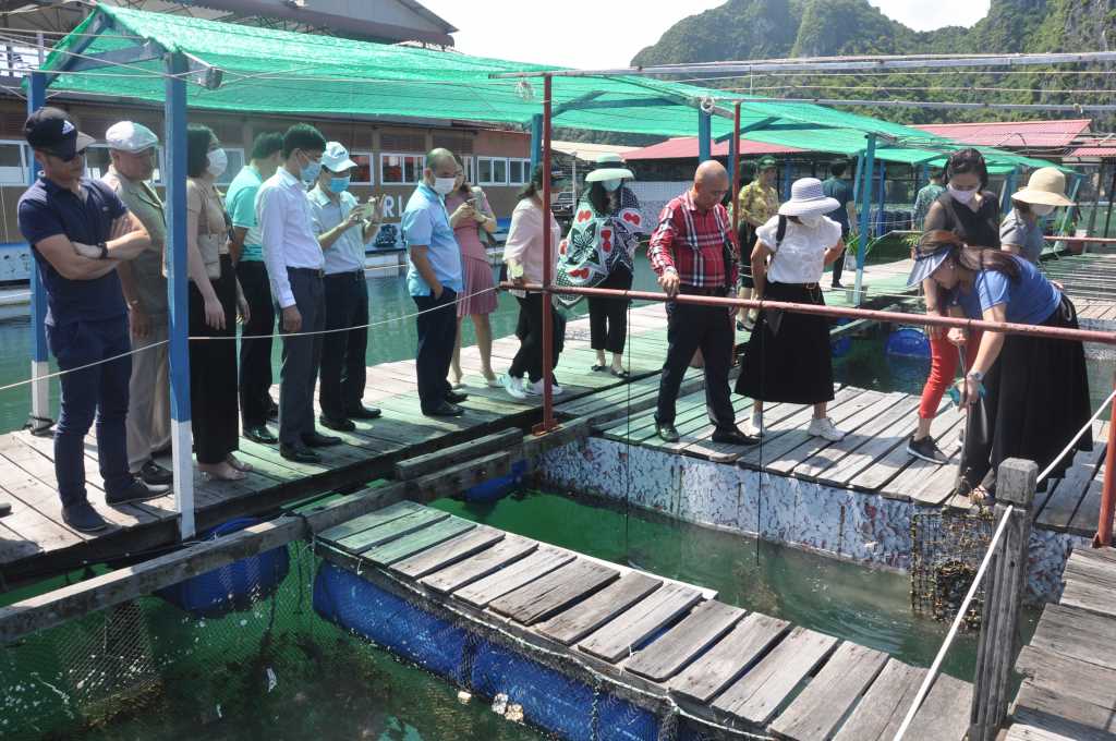 Quảng Ninh: Triển vọng du lịch nông nghiệp - Ảnh 2.