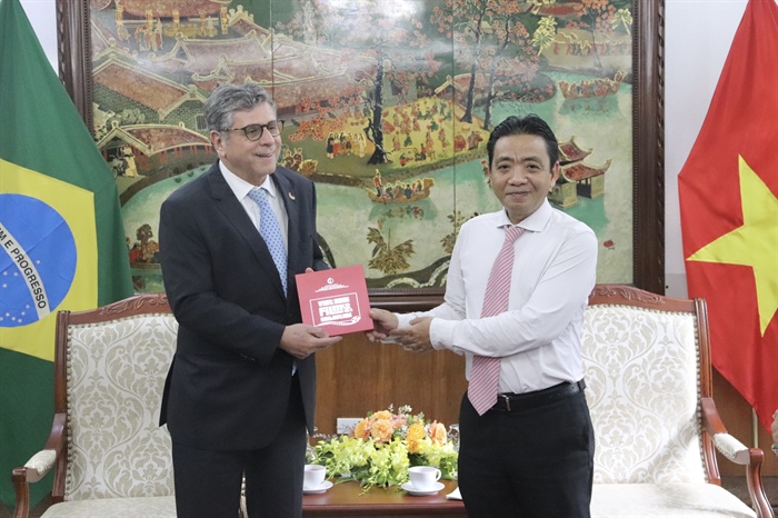 Thúc đẩy hơn tác Văn hóa, Thể thao giữa Việt Nam - Brazil - Ảnh 2. Thúc đẩy hơn tác Văn hóa, Thể thao giữa Việt Nam - Brazil - Ảnh 2.