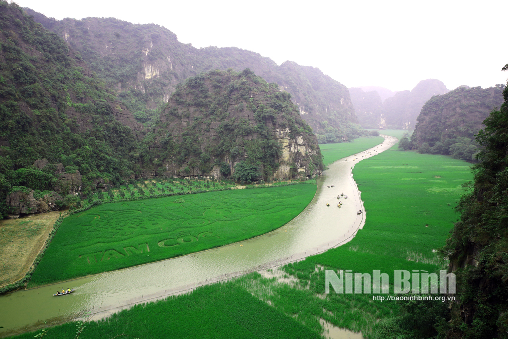 Tuần Du lịch Ninh Bình dự kiến diễn ra từ ngày 27/5 - Ảnh 2.