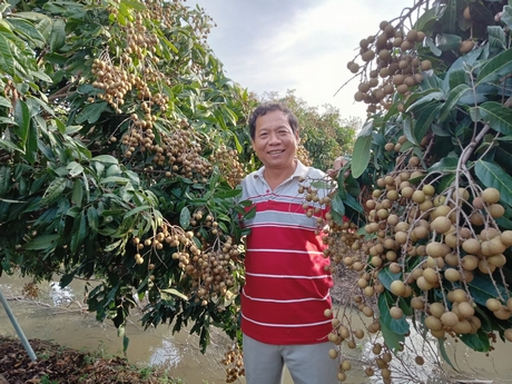 Vĩnh Long: Tạo dấu ấn riêng từ du lịch nông nghiệp - Ảnh 2.