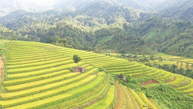 Lào Cai tập trung các giải pháp phát triển du lịch nông nghiệp, nông thôn trong xây dựng nông thôn mới - Ảnh 1.