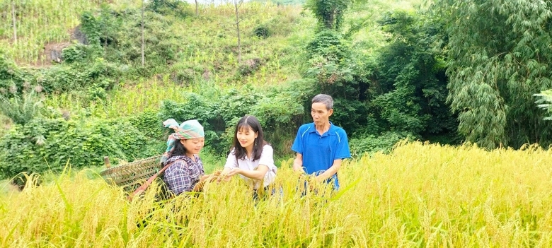 Lào Cai tập trung các giải pháp phát triển du lịch nông nghiệp, nông thôn trong xây dựng nông thôn mới - Ảnh 2.