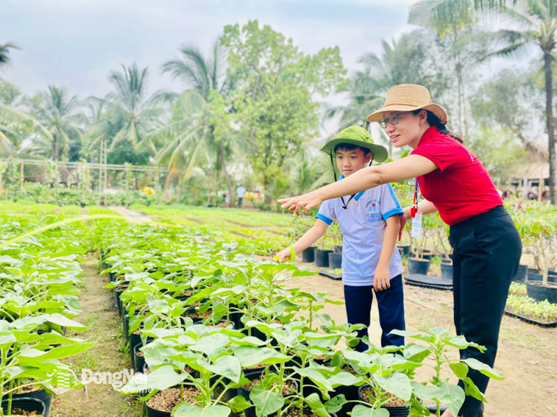 Đồng Nai vào mùa du lịch hè - Ảnh 3.